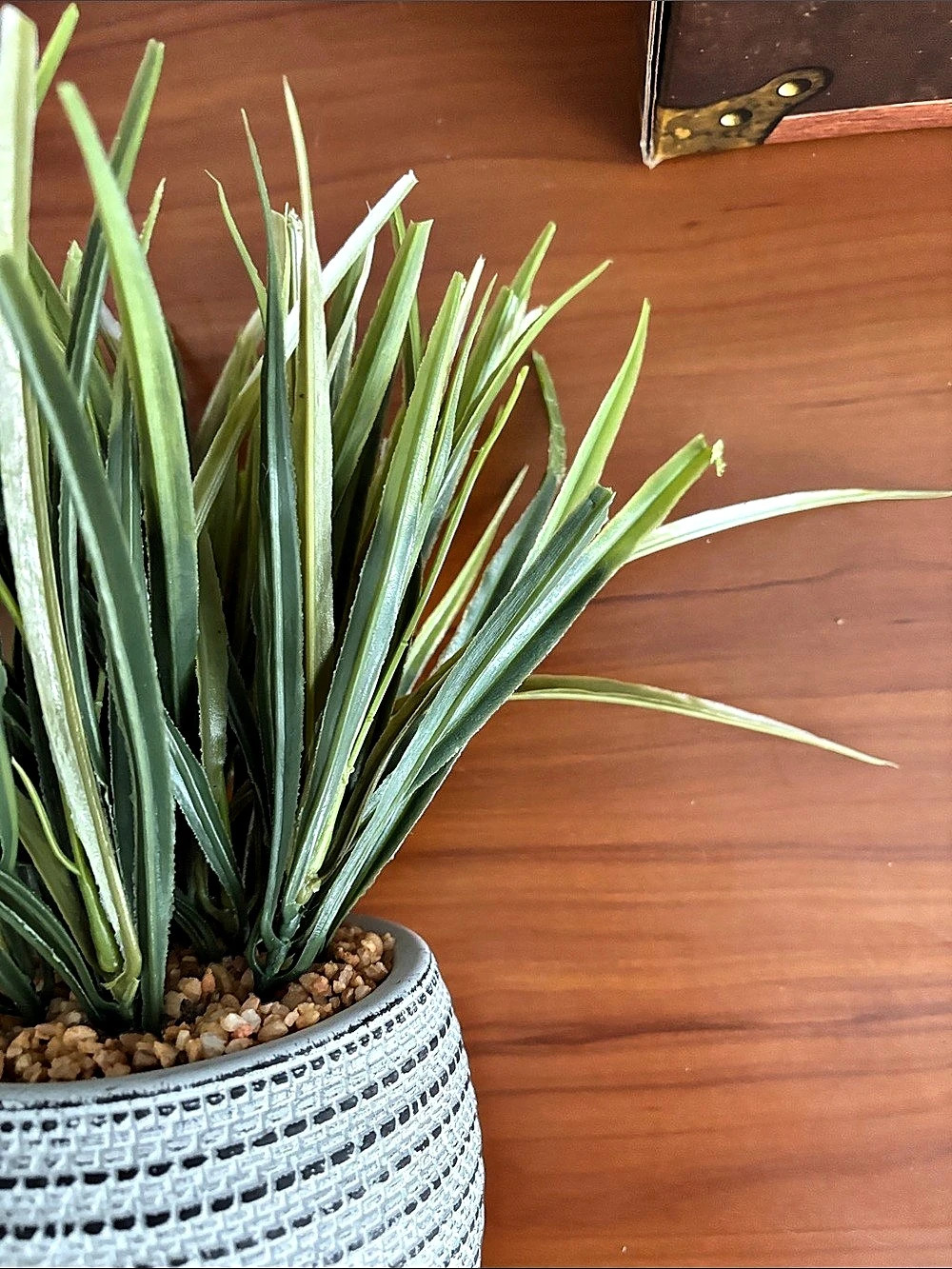 Green & White Potted Faux Plant Decor - Picture 3 of 7